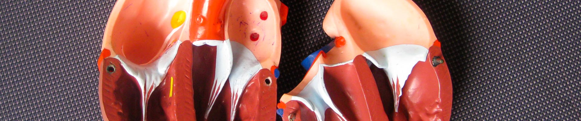 Fachärtzliche Versorgung im MVZ am Mexikoplatz