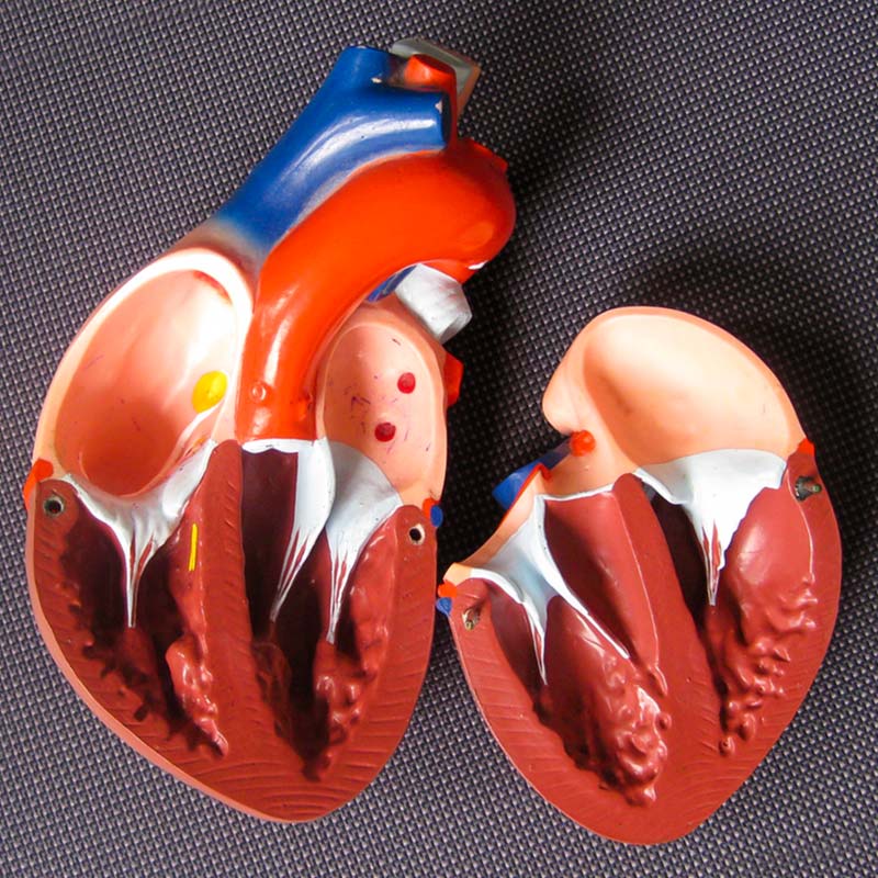 Fachärztliche Versorgung in unserem MVZ am Mexikoplatz